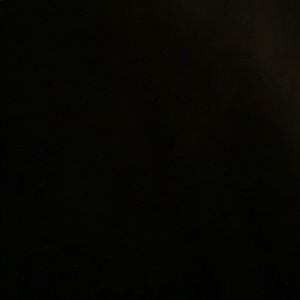 Meet your Posher, Joey